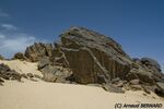 DSC_6100.jpg