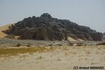 DSC_6309.jpg