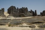 DSC_6406.jpg