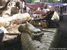 DSC_0016.jpg