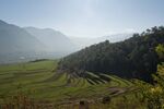 DSC_9118.jpg