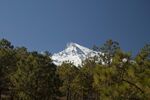 DSC_9145.jpg