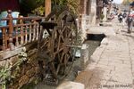 DSC_8814.jpg