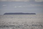 DSC_7762.jpg