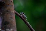 DSC_7763.jpg