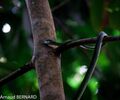DSC_7764.jpg