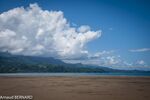 DSC_8050.jpg