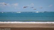 DSC_8061.jpg