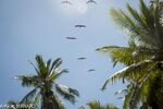 DSC_8070.jpg