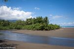 DSC_8075.jpg