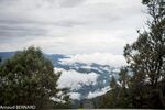 DSC_8077.jpg