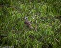 DSC_7334.jpg