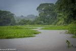 DSC_7335.jpg