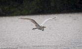 DSC_7372.jpg