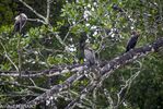 DSC_7382.jpg