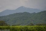 DSC_7387.jpg