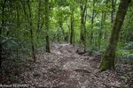 DSC_7180.jpg