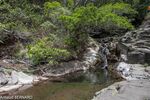 DSC_7206.jpg