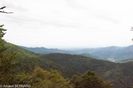 DSC_5366.jpg