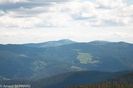 DSC_5463.jpg