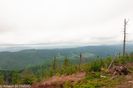 DSC_5474.jpg