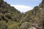 DSC_5124.jpg