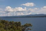 DSC_5140.jpg