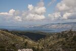 DSC_5365.jpg
