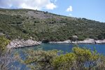 DSC_5552.jpg