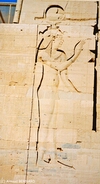 DSC_0018.jpg