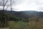 OLYMP_0096.jpg