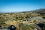 OLYMP_0274.jpg
