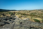 OLYMP_0276.jpg