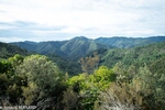 OLYMP_0354.jpg