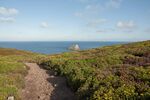 DSC_9376.jpg