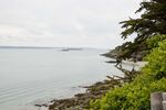 DSC_1303.jpg