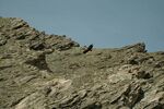 DSC_9724.jpg