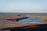 DSC_1849.jpg