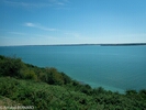 DSC_1754.jpg