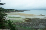 DSC_1786.jpg