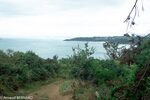DSC_1812.jpg