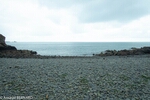 DSC_1836.jpg