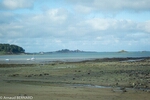 DSC_1874.jpg