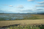 DSC_1875.jpg