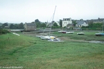 DSC_1878.jpg