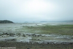 DSC_1879.jpg