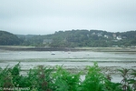 DSC_1880.jpg