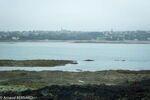 DSC_1882.jpg