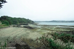 DSC_1883.jpg
