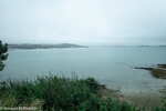 DSC_1884.jpg
